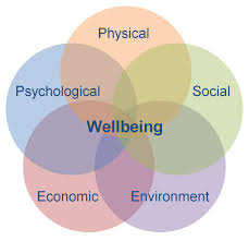 wellbeing2